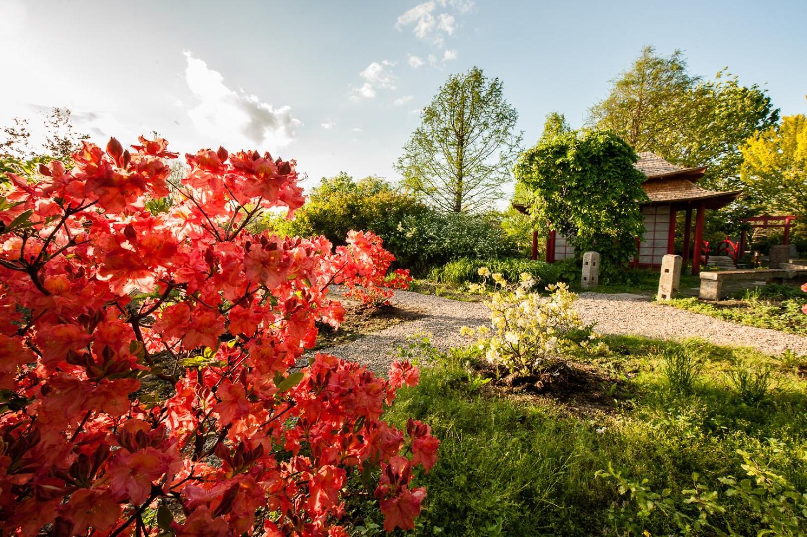 Siedem Drzew Hotel Biskupice  ภายนอก รูปภาพ